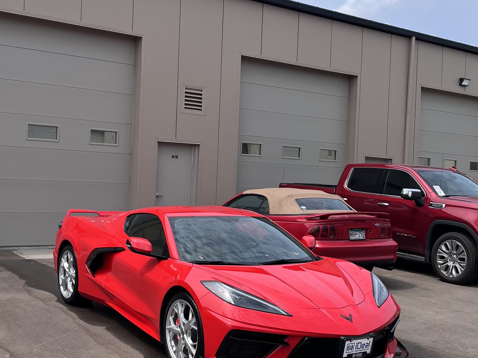 Paint Correction — Swirl Removal
